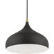 Amador 1 Light 12 inch Textured Black with Antique Brass Accents Pendant Ceiling Light