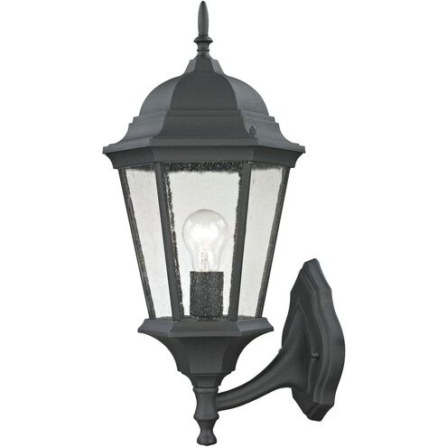 Temple Hill 1 Light 21 inch Matte Textured Black Outdoor Wall Sconce, Large