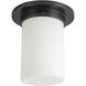 Mineral 1 Light 7.88 inch Urban Bronze and Matte Opal Glass Flush Mount Ceiling Light in Opal Glass Shade