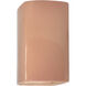 Ambiance Collection LED 13.5 inch Gloss Blush Outdoor Wall Sconce