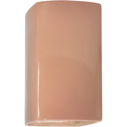 Ambiance Collection LED 13.5 inch Gloss Blush Outdoor Wall Sconce