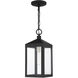 Nyack 1 Light 6 inch Black with Brushed Nickel Cluster Outdoor Pendant Lantern