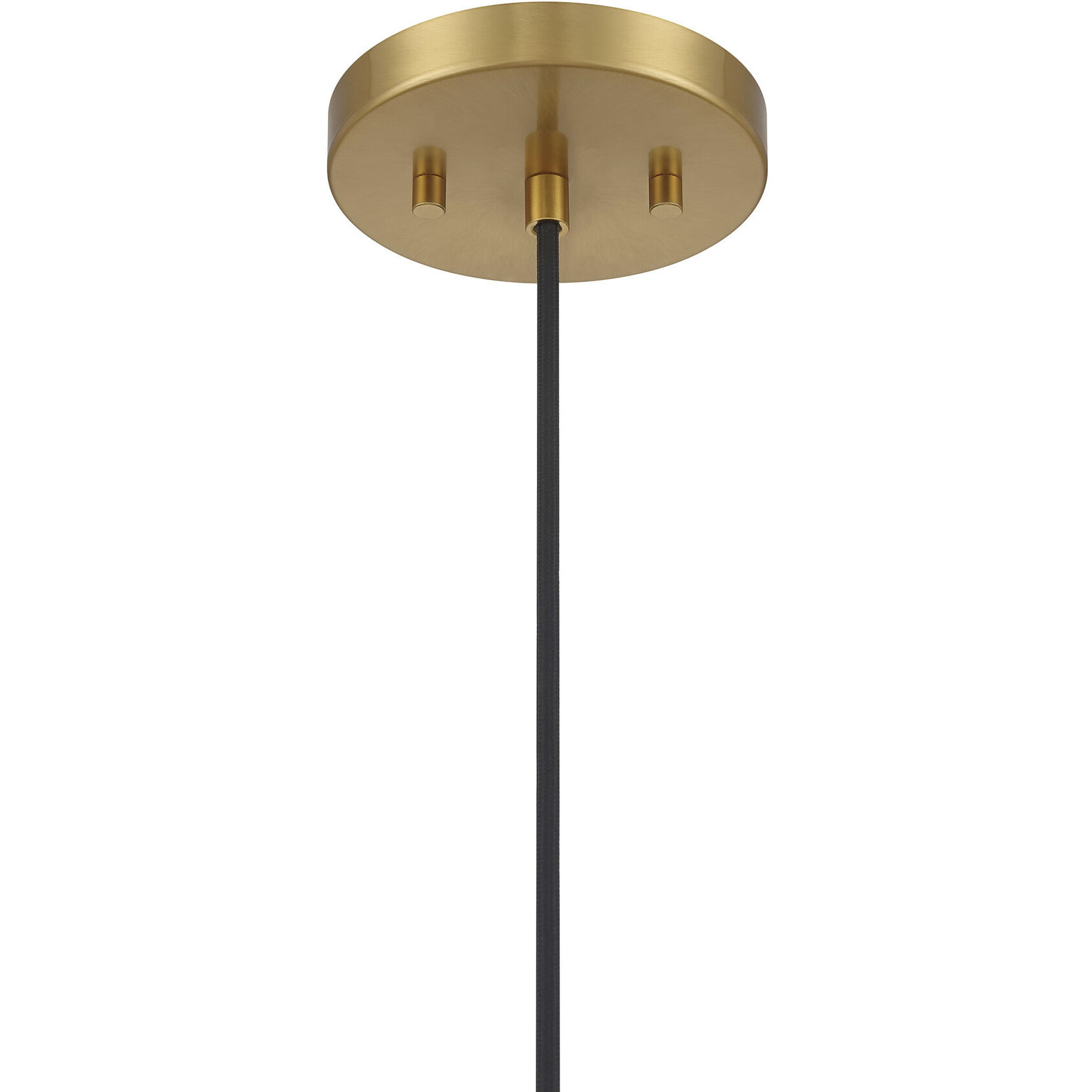 Coastal 1 Light 12.75 inch Natural Brass Pendant Ceiling Light