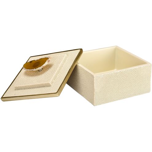 Brenner 5.25 X 5.25 inch Off White with Brown Box