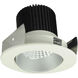 Iolite Haze with White Recessed Light in 4000K, Haze / White, 1000, Round Cone Regress