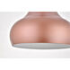 Circa 1 Light 11.5 inch Honey Gold Pendant Ceiling Light