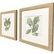 Summer Leaves Green and Black and White Framed Art, Propac