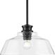 Singleton 1 Light 14 inch Matte Black Pendant Ceiling Light