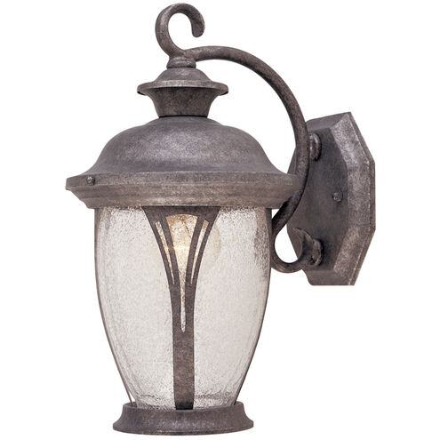 Westchester Outdoor Wall Lantern in Seedy, Rustic Silver