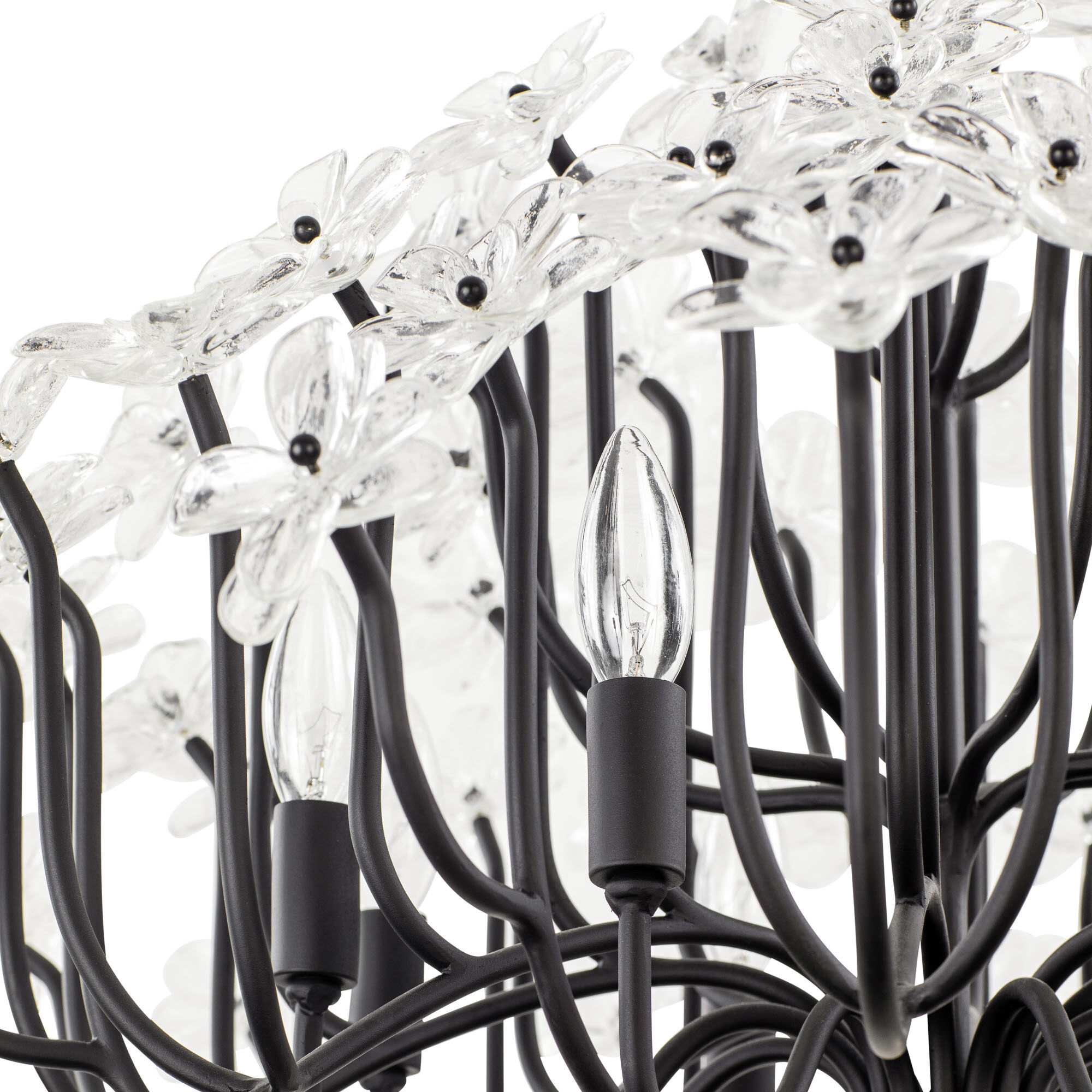 Wildflower 8 Light 32 inch Matte Black Chandelier Ceiling Light, Smithsonian Collaboration