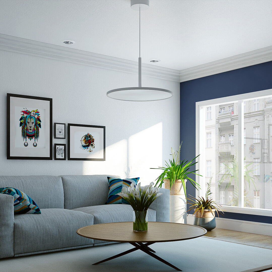 Salm 24 inch White Pendant/Chandelier Ceiling Light