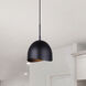 Henlee 1 Light 9 inch Black Pendant Ceiling Light