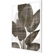 Earthy Palm Brown and White Framed Art