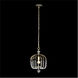 Voliere 1 Light 12.5 inch Havana Gold Pendant Ceiling Light