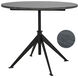 Matilo 30 X 30 inch Matte Black Accent Table, Adjustable