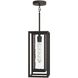Shaw 1 Light 7 inch Antique Bronze Outdoor Pendant