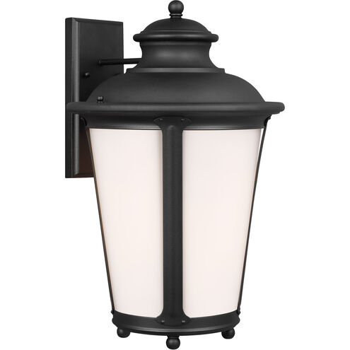 Cape May 1 Light 20.25 inch Black Outdoor Wall Lantern, Extra Large