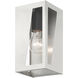 Forsyth 1 Light 8.5 inch Brushed Nickel with Black Finish Accents Outdoor Wall Lantern, Small