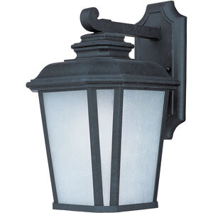 Radcliffe LED E26 LED 15 inch Black Oxide Outdoor Wall Mount