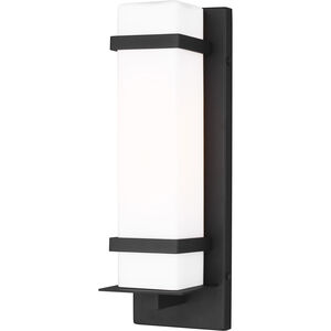 Alban 1 Light 14 inch Black Outdoor Wall Lantern, Small