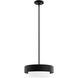 Station 2 Light 14 inch Natural Black Iron Pendant Ceiling Light, Small