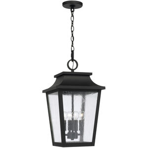 Chandler 4 Light 12 inch Black Outdoor Hanging Lantern