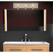 Chelsey 3 Light 24 inch Oxidized Silver Bath Light Wall Light