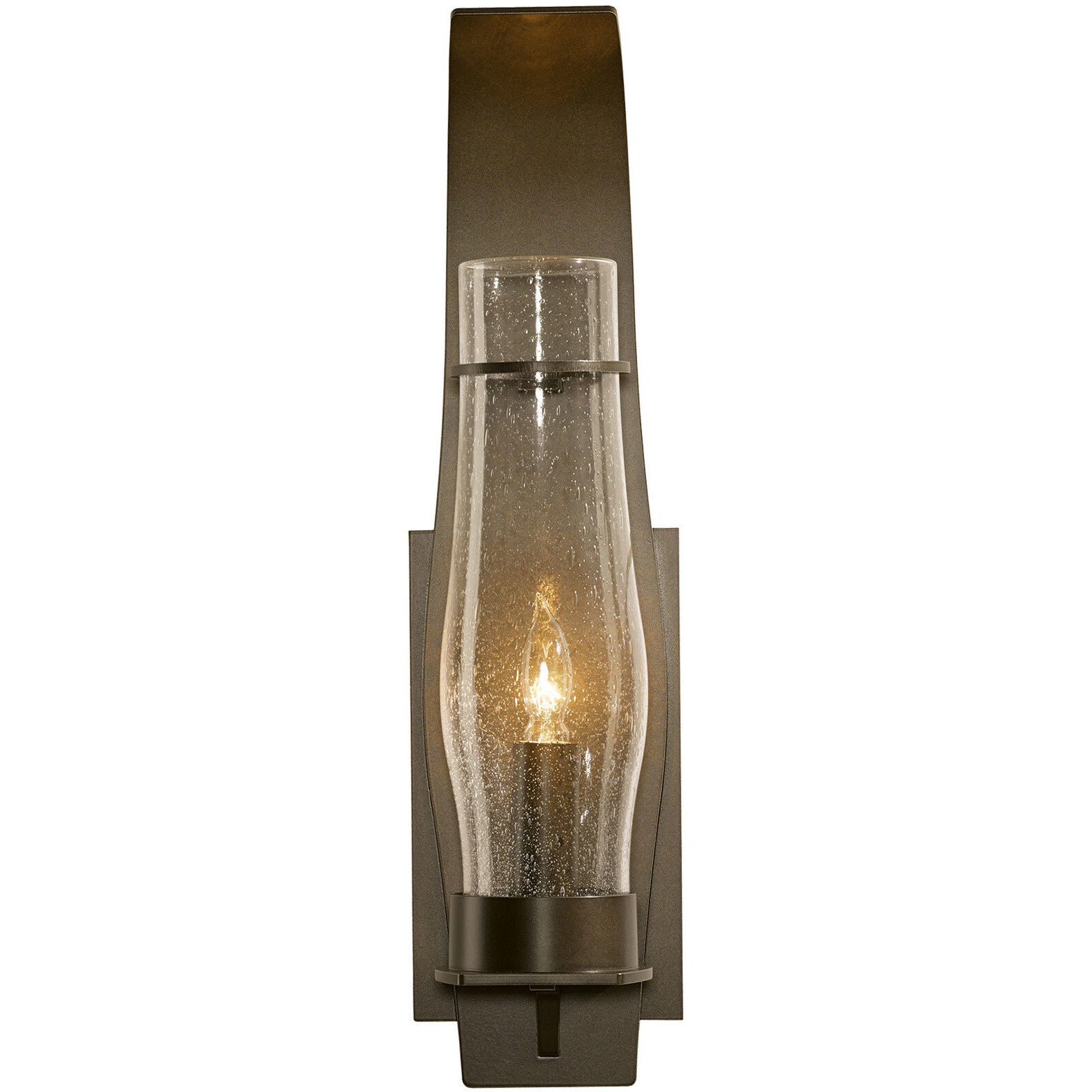 Sea Coast 1 Light 24.2 inch Coastal Burnished Steel Outdoor Sconce in Seeded Clear, Large