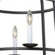 Wickenburg 4 Light 21 inch Black Iron Pendant Ceiling Light