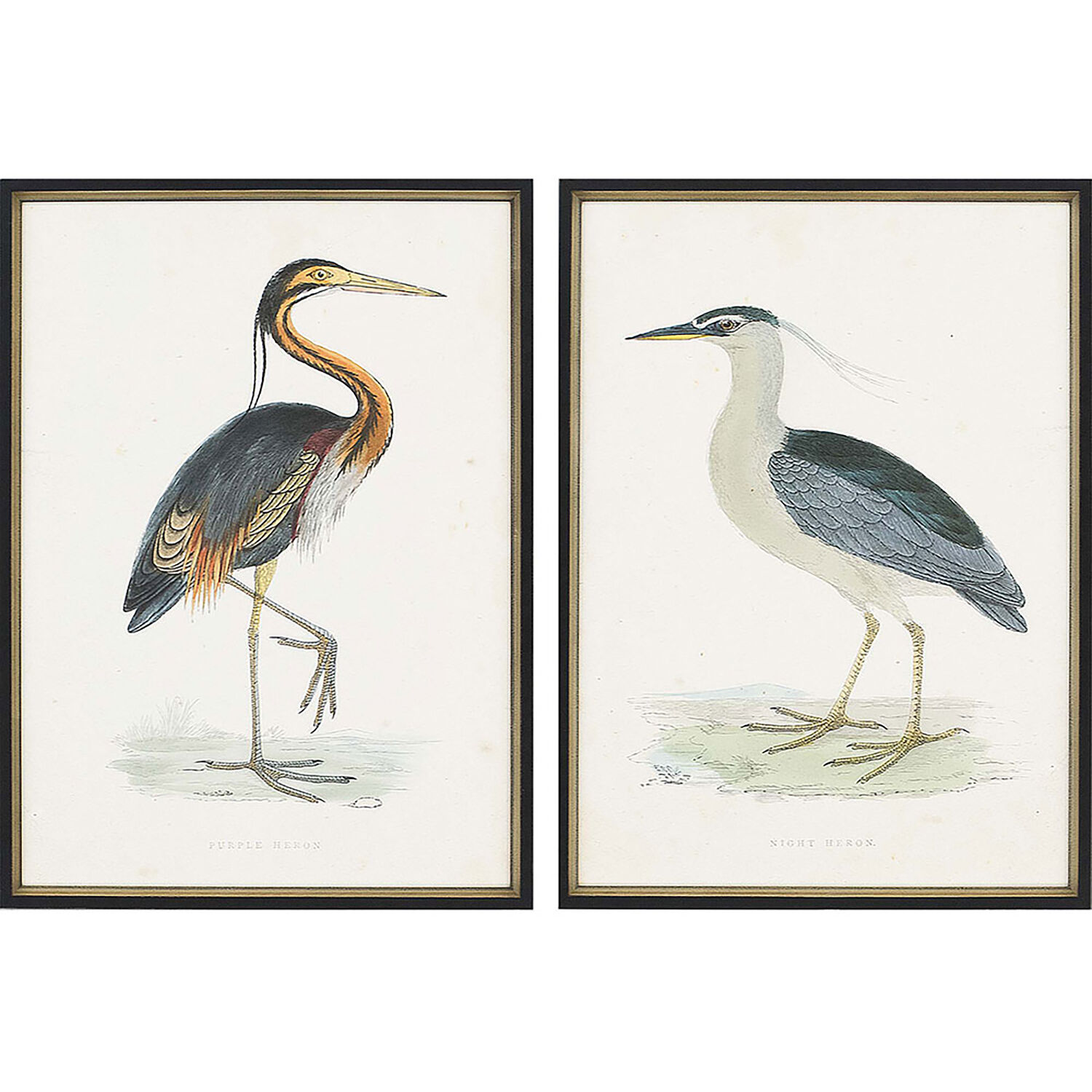 Animals Multi and Orange and Green and Gray Framed Art