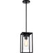 Vado 1 Light 6.38 inch Black Outdoor Pendant Lantern