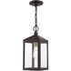 Nyack 1 Light 6.25 inch Bronze with Antique Brass Cluser Outdoor Pendant Lantern
