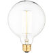 Arc Incandescent Type A E26 40 watt Light Bulb, Small, Pack of 3