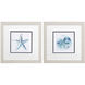 Seahorse Shell Starfish Sand Dollar Blue and Teal Framed Art, Propac