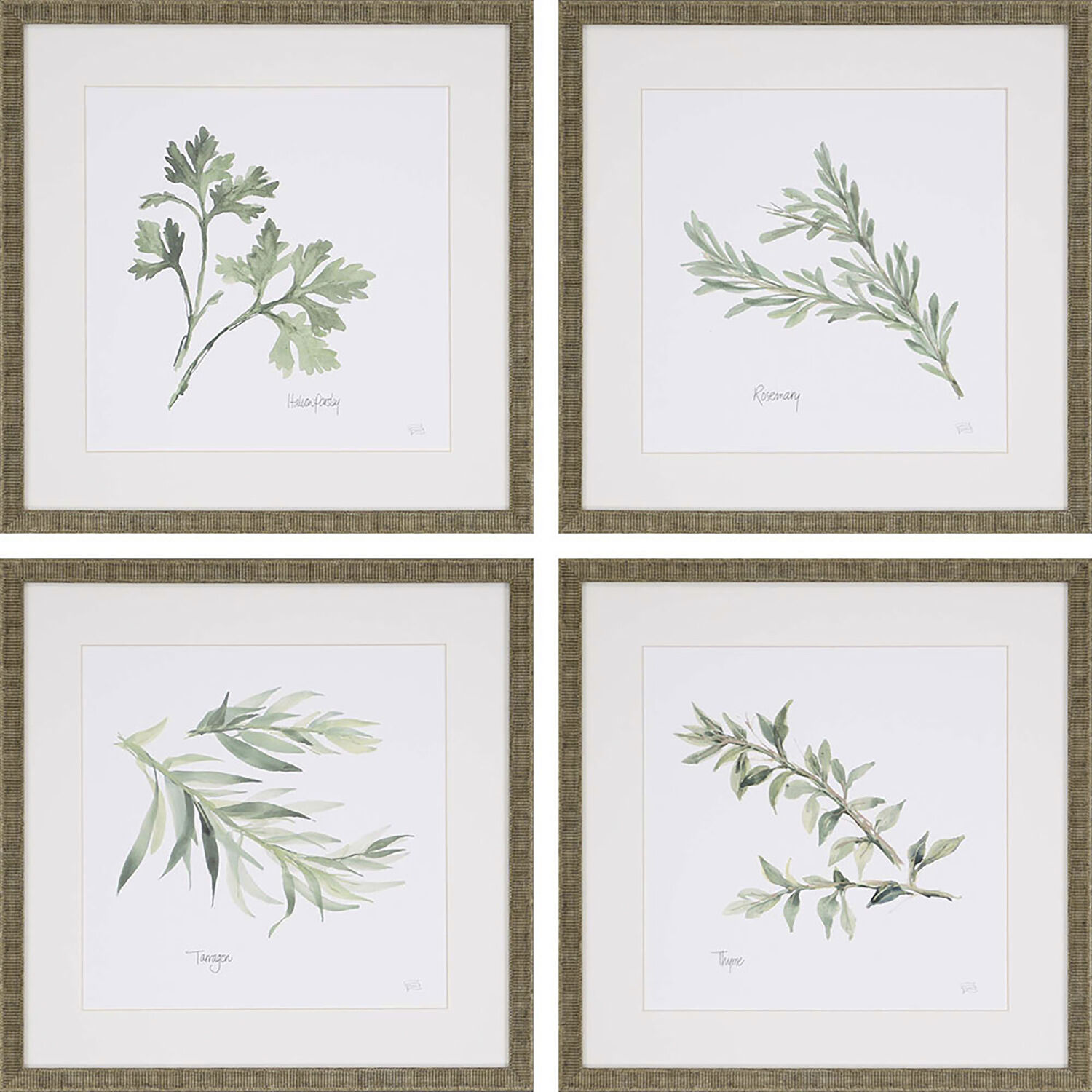 Culinary Green and Brown and White Framed Art