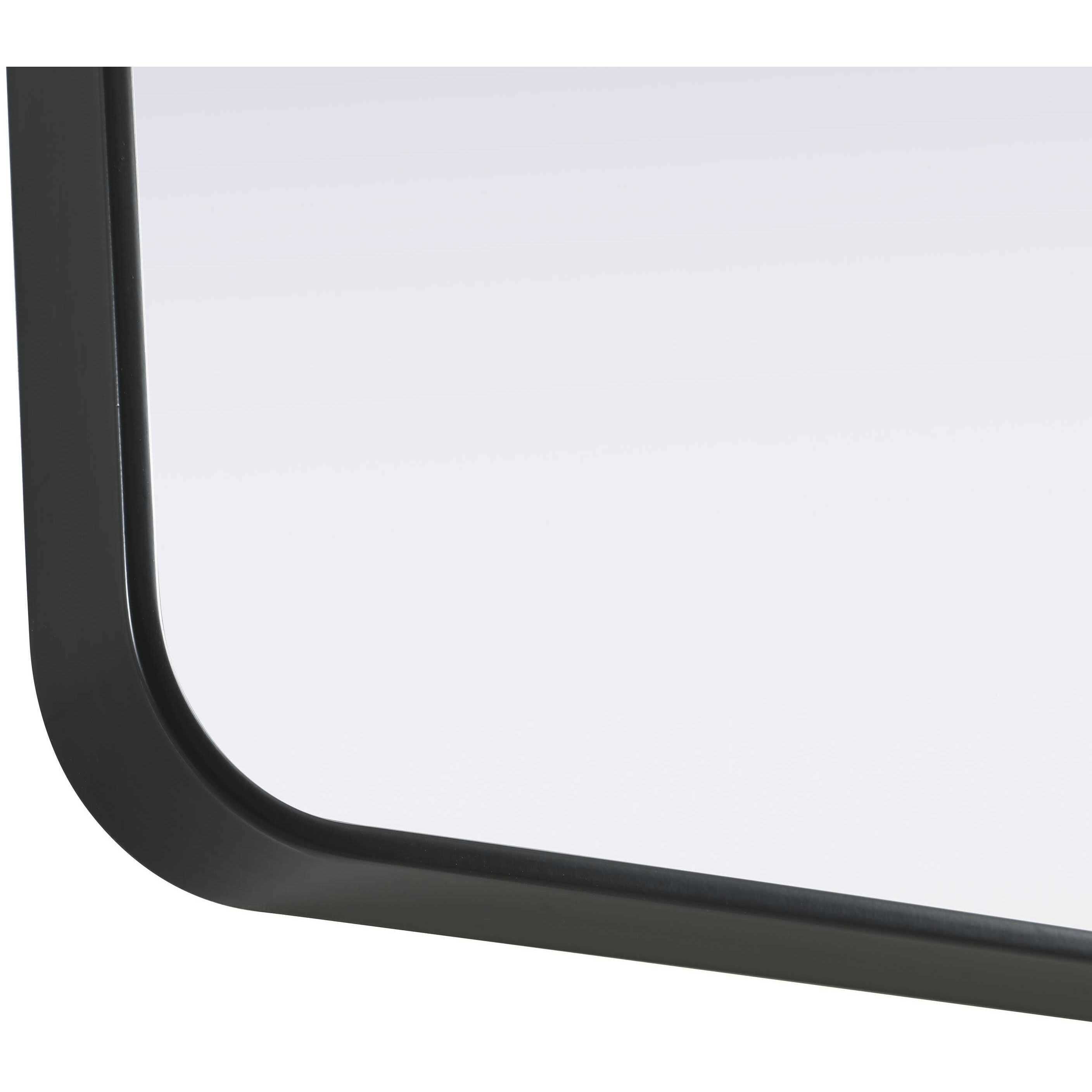 Remy 60 X 30 inch Black Mirror