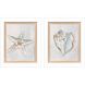Serenity Shells Blue and Neutral Framed Art, Propac