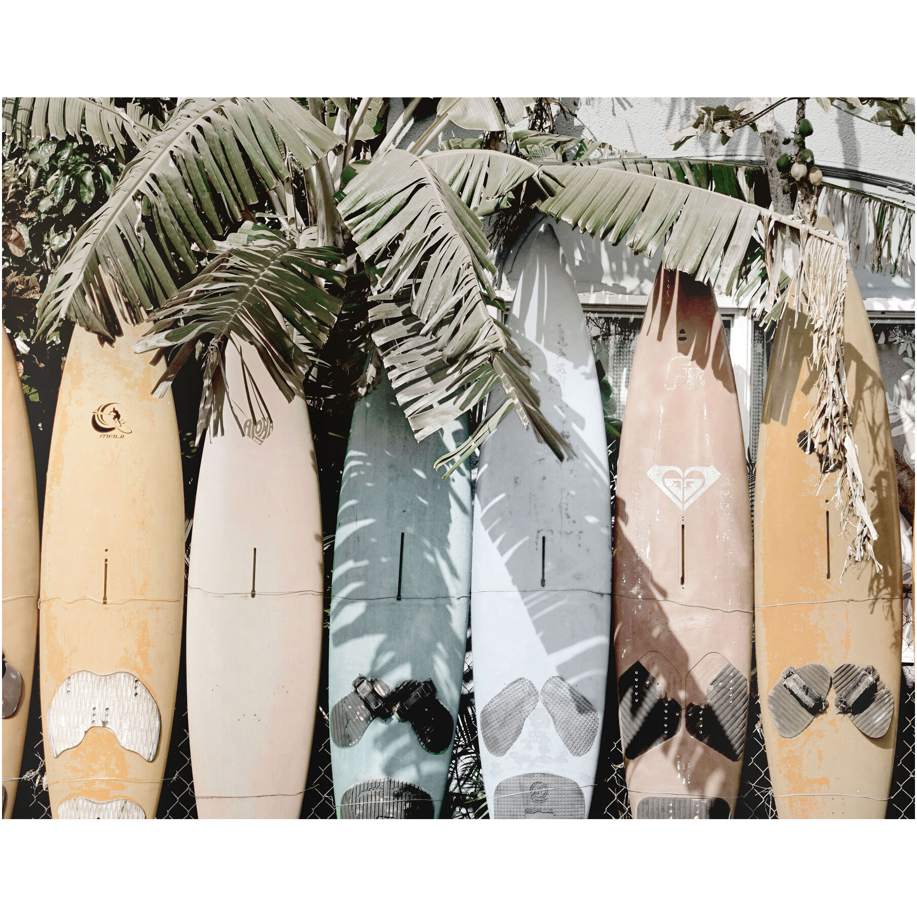 Surfs Up Multicolor Wall Décor