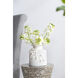 Seaford 8.8 X 7.9 inch Vase