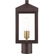 Nyack 1 Light 15 inch Bronze with Antique Brass Cluser Outdoor Post Top Lantern