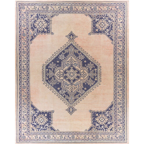 Unique 114 X 90 inch Peach/Navy/Light Olive/Pale Blue Handmade Rug in 8 x 10, Rectangle