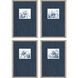 Lilies Blue and White Framed Art