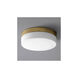 Zuri LED 11 inch Aged Brass Flush Mount Ceiling Light 
