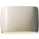 Ambiance Collection LED 10 inch White Crackle Outdoor Wall Sconce