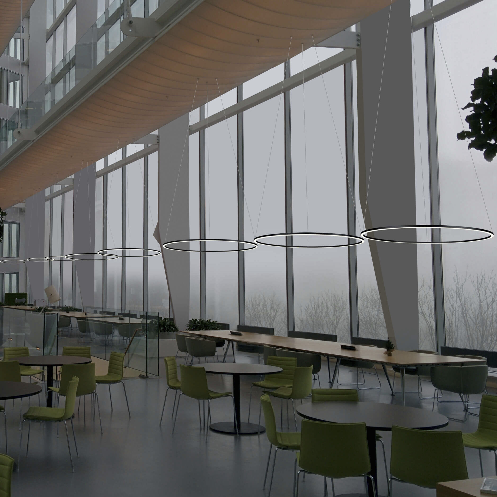 Tania 51.25 inch Black Chandelier Ceiling Light