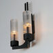 Delos 2 Light 10.5 inch Anthracite Wall Sconce Wall Light