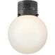 Taj 1 Light 9.75 inch Black Flush Mount Ceiling Light