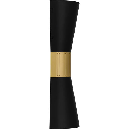 Dexter LED 15 inch Matte Black Outdoor Wall Lantern