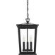 Cayman 3 Light 9.5 inch Black Outdoor Pendant