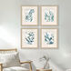 Underwater Botany Blue and Green and Multi and Neutral Framed Art, Propac